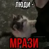 user_name_18282827272