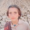 naseeb.d0