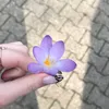 9_iiaa