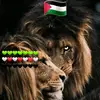 37472748294g