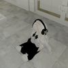 player_roblox666