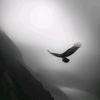 mohamed_mahrous25