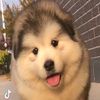 wanaaaaaaaaaaaaaaaaaaaw