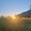 nikoola._.koalakidd