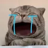 nhinuongg