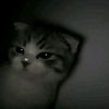 riaa4_ever