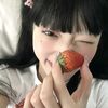 mis_rabbit01
