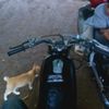 rxsakithati2