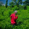 _nethaa_official_1