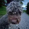 vicke_1204