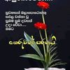 user1454812950117