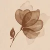 shophoria_