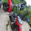 mini__chase