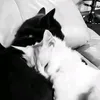 mila_0w6