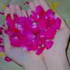 ms.sumaiya853