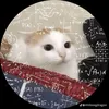diana_ne11