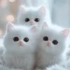 aicutecat25