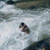 putra.manalu93