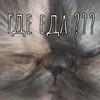 samirkawow1