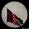 saqijanan313redline