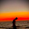 omar990074