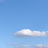 sieromy