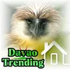 DavaoTrend