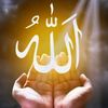 sahabitchakoura