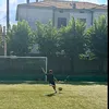 lorisj19