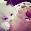 nazwa_10.3