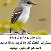 user6316109462391