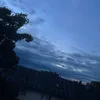 ari_kurdinn
