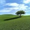 ExitDreamNow