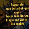 user47135217874624