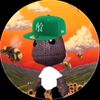davidthemonkey230
