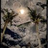 janakanq0876