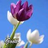 user7334016850550