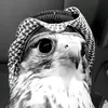 salmansoor