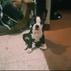 camilo03094