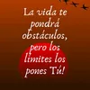 luis15688447