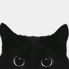 gatalina377