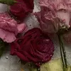 hgxjvcyg