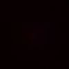 rg_l77