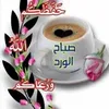 mohammed.mohammad1100