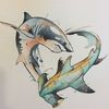 isharks23