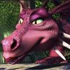 asstral_idiott