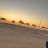 qk20301