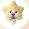 dinie_s123
