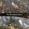 thebwoodpisser