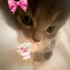 isabellycsxxx